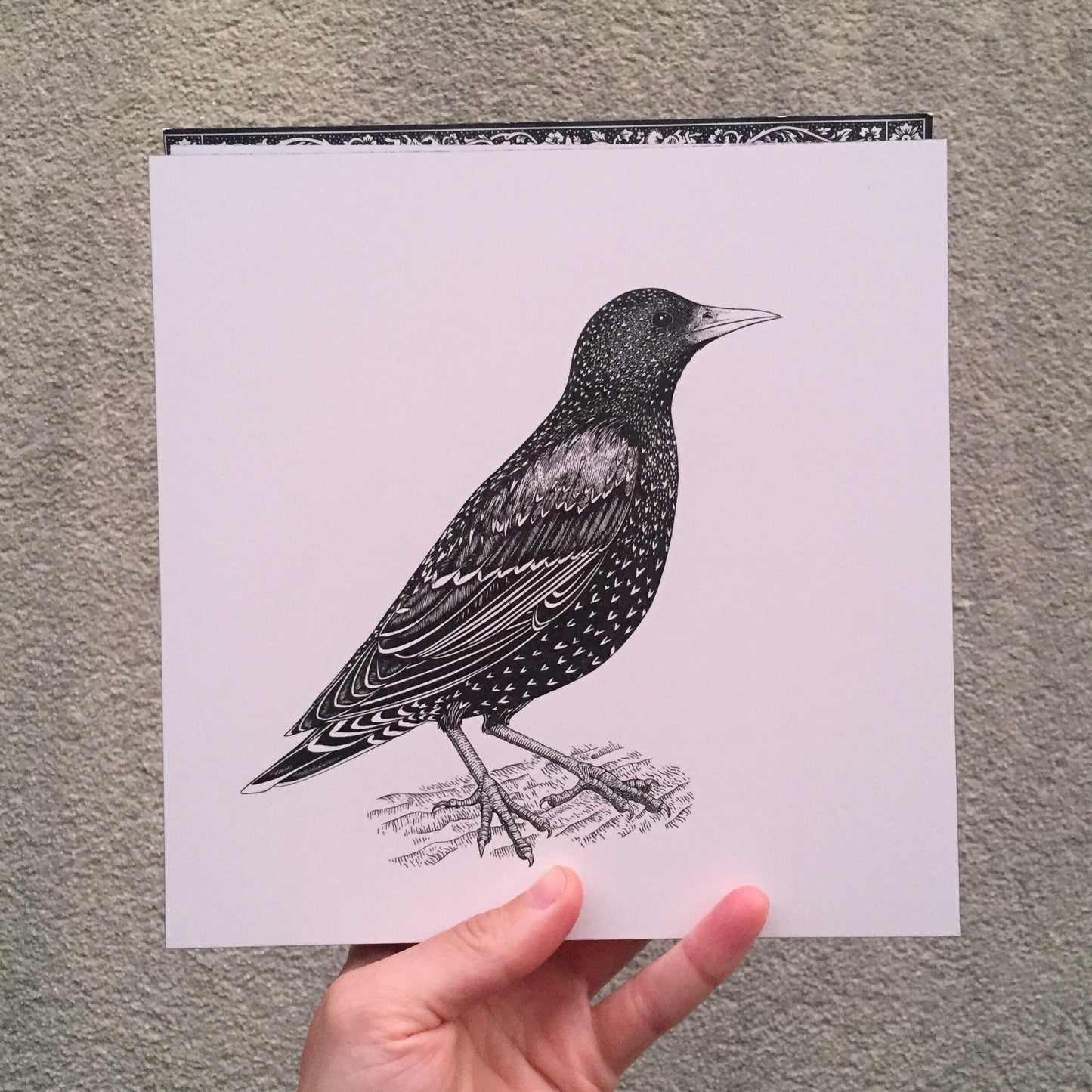 Starling T-Shirt - Hand-Printed Organic Cotton Tee for Bird Lovers